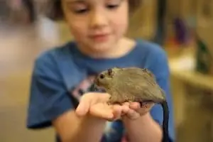 Preschools in Park slope brooklyn