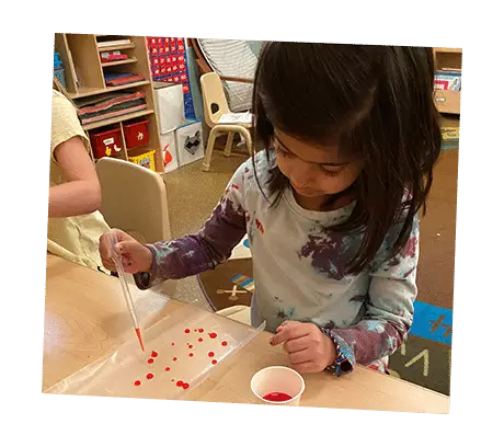 park in downtown brooklyn