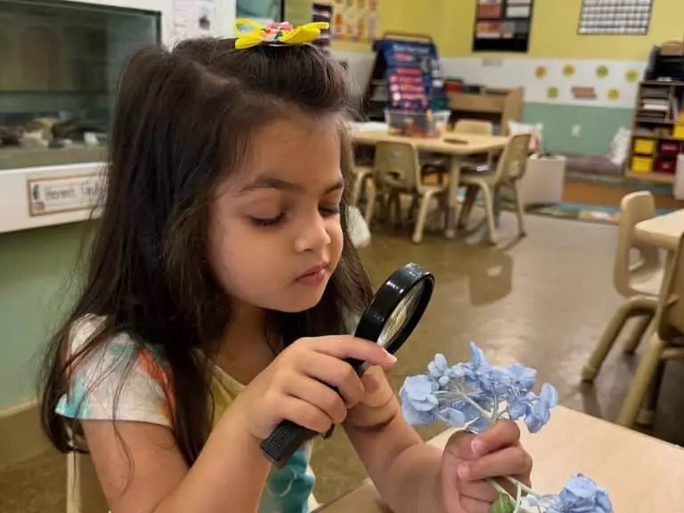 daycares brooklyn ny