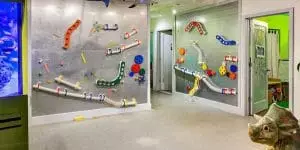 preschools in carroll garden