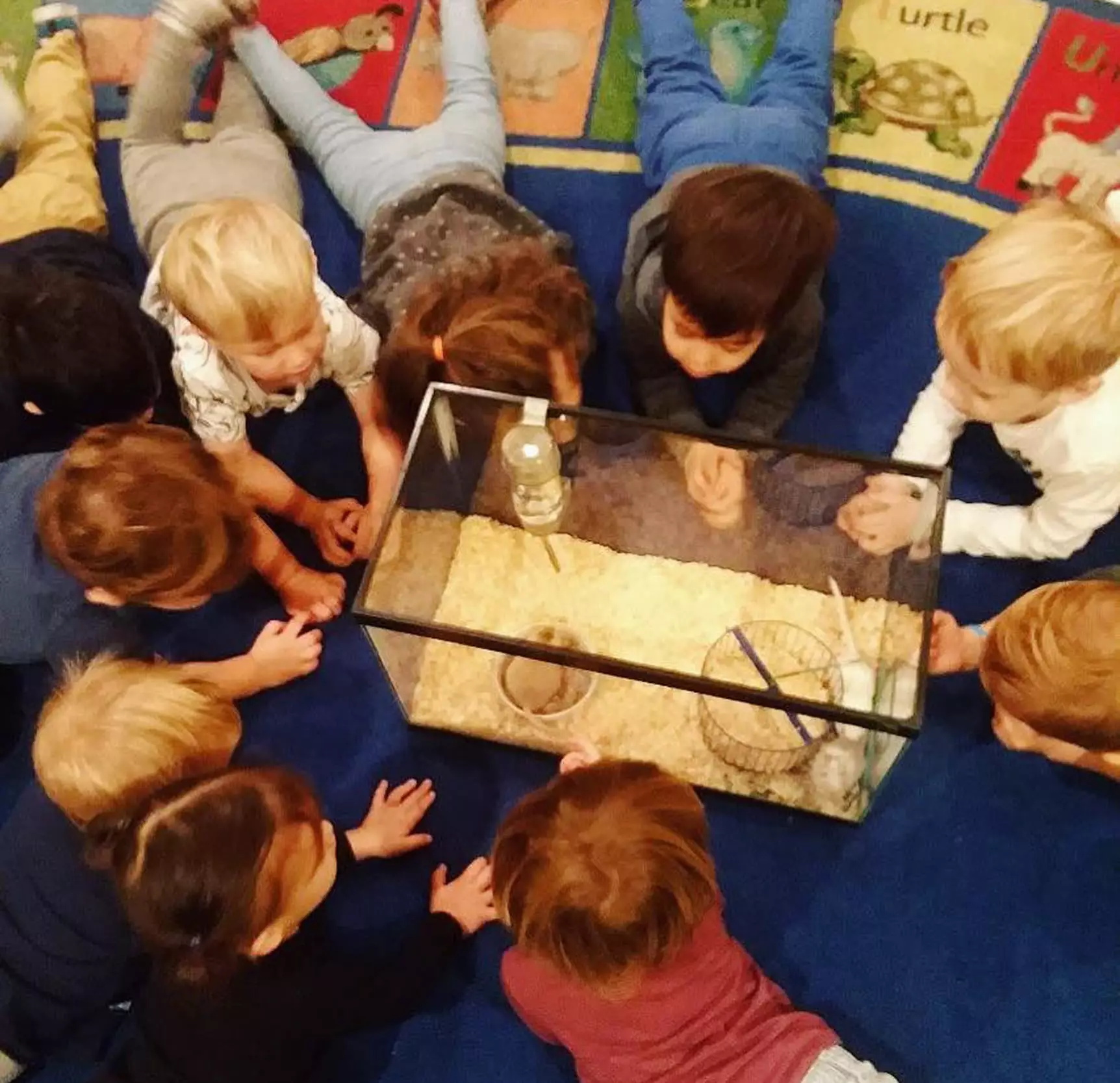 6 Tips to Find the Right Preschool in Brooklyn, NY for Your Child