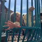 preschool-education-prekindergarten-schools-pre-kindergarten-schools