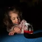 daycare for toddlers