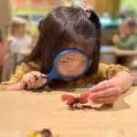 Working parents often worry about their child's growth. A daycare for toddlers Brooklyn, NY ensures quality care and learning. With pre school programs emphasizing direct activities and multi-sensory learning, it fosters rapid development and sets a strong foundation for a bright future.