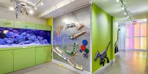 preschools in carroll garden