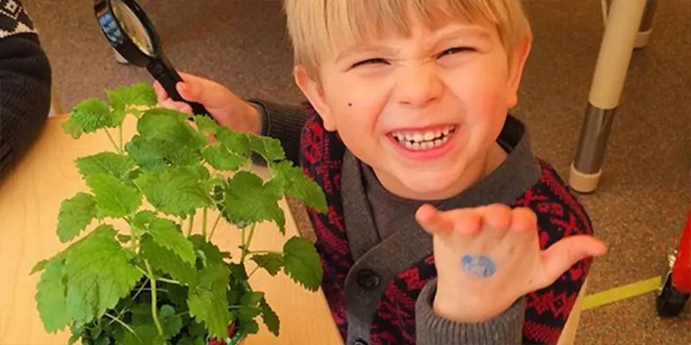 Cobble Hill Preschool Brooklyn