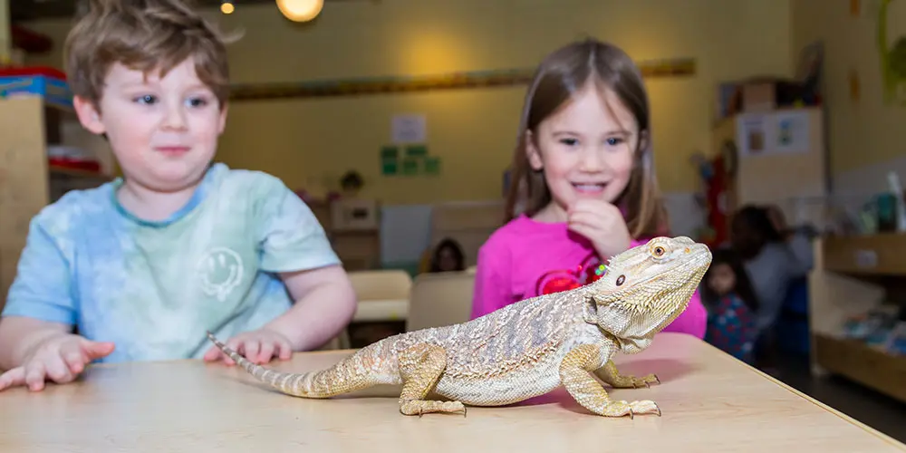 Top 7 Reasons Families Choose Child Care Brooklyn for Early Learning Success