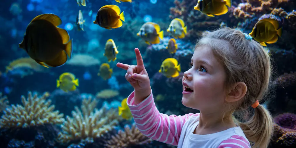 Things to Look for When Choosing Childcare in Brooklyn