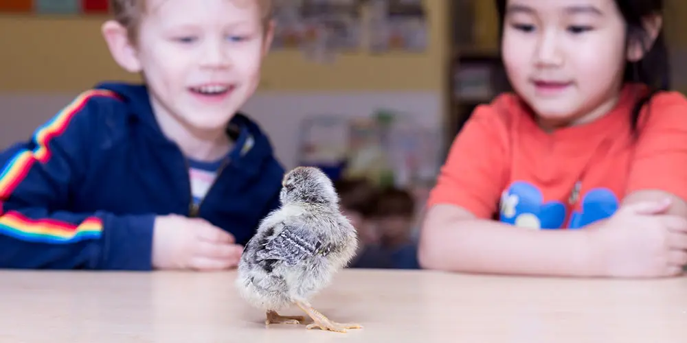 6 Tips to Find the Right Preschool in Brooklyn, NY for Your Child