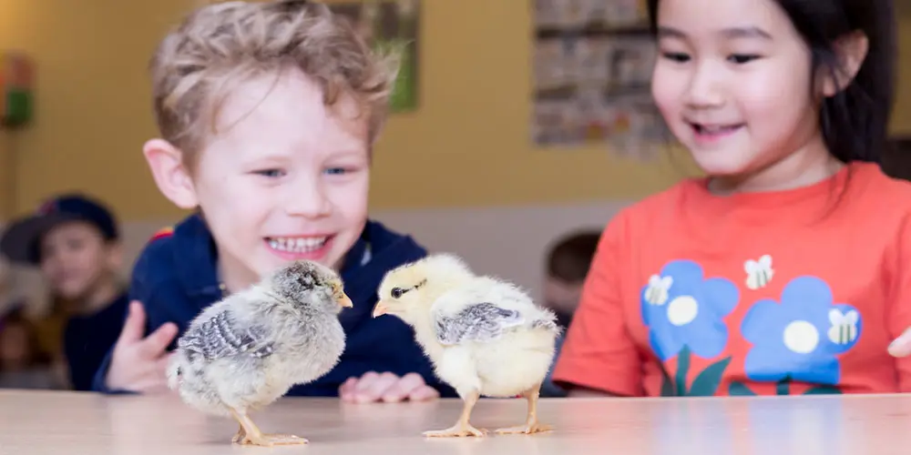 How Pre K Brooklyn Programs Shape Lifelong Learners?