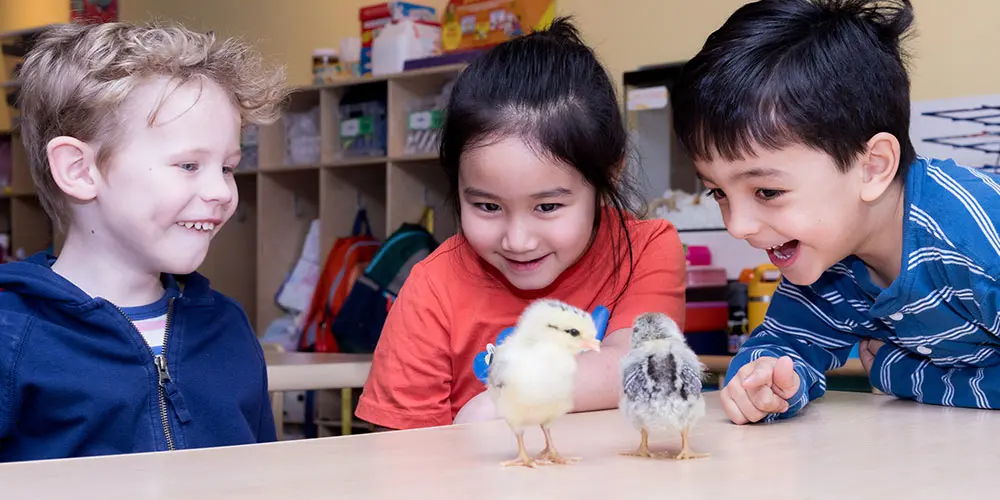 park slope preschools