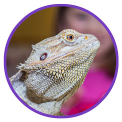 Brooklyn Preschool of Science News